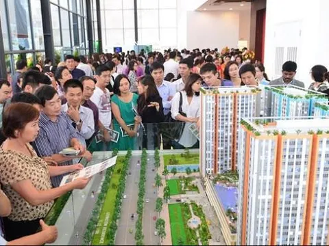 Chấn chỉnh hoạt động của 61 sàn giao dịch bất động sản