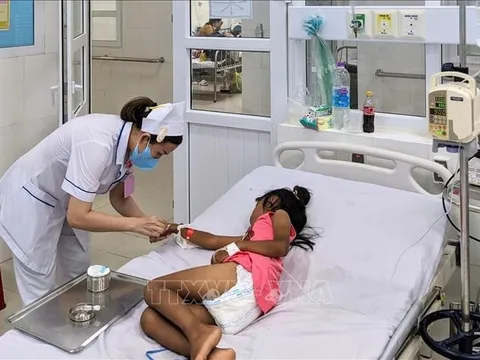 Cấp cứu kịp thời 3 cháu nhỏ bị ngộ độc do ăn hạt cây dầu mè