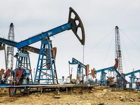 Giá xăng dầu hôm nay 19/7/2023: Cập nhật giá xăng dầu trong nước, quốc tế