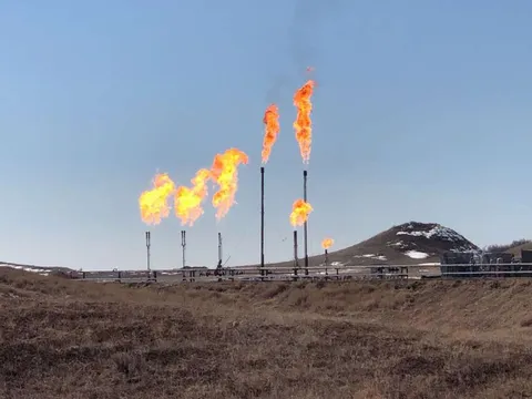Giá gas hôm nay 20/7/2023: Cập nhật giá gas trong nước và thế giới