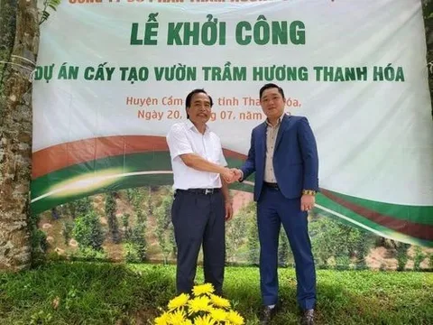 Thanh Hoá: Khởi công cấy tạo trầm hương theo công nghệ sinh học