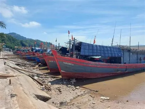 Tàu cá bị xử phạt hơn 900 triệu đồng vì khai thác hải sản bất hợp pháp