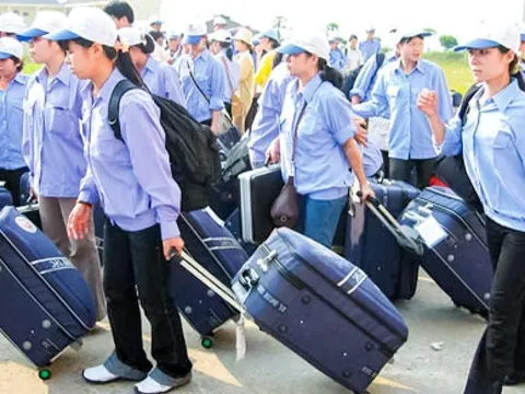 Cảnh giác với những quảng cáo về chương trình lao động thời vụ Hàn Quốc