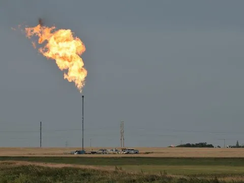 Giá gas hôm nay 3/8/2023: Cập nhật giá gas trong nước và thế giới