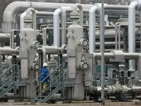 Giá gas hôm nay 4/8/2023: Cập nhật giá gas trong nước và thế giới