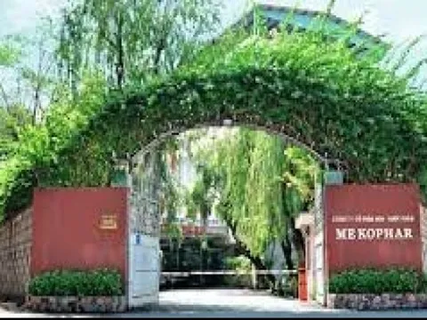 Công ty dược Mekophar bị xử phạt vì vi phạm hành chính trong kinh doanh thuốc