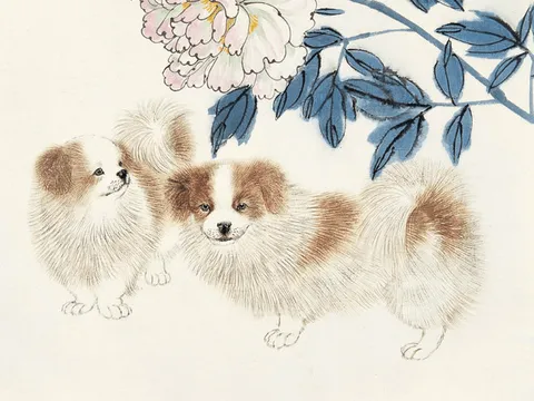 Tử vi tuần mới 7/8-13/8: Tuất có cơ hội làm giàu, Dậu dễ bị tác động tâm lý