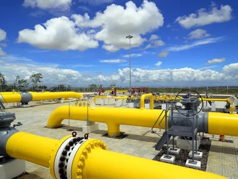 Giá gas hôm nay 10/8/2023: Cập nhật giá gas trong nước và thế giới