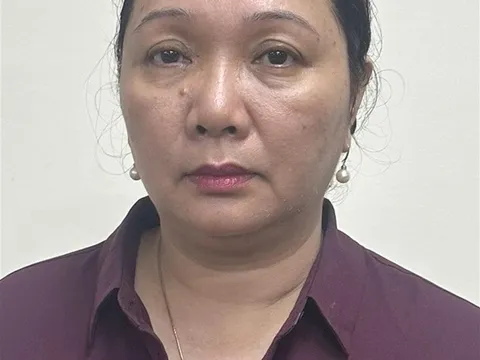 Khởi tố một nữ Vụ trưởng thuộc Văn phòng Chính phủ