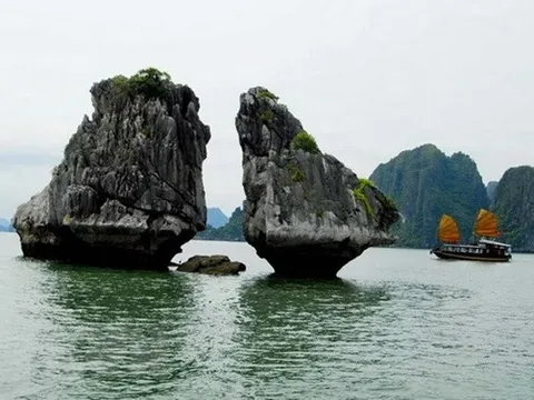 Quảng Ninh triển khai giải pháp bảo tồn Hòn Trống Mái ở Vịnh Hạ Long