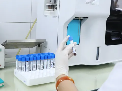 Bộ Y tế cung cấp thông tin về Nhóm Bông Hồng Đen ở Hải Phòng
