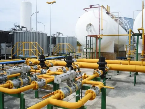 Giá gas hôm nay 25/8/2023: Cập nhật giá gas trong nước và thế giới