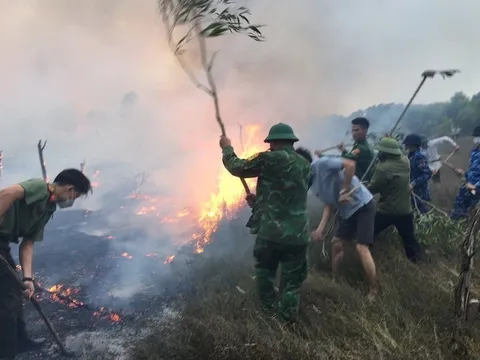 Quảng Trị cháy khoảng 30 ha rừng phòng hộ