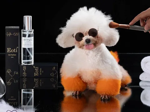 Lựa chọn sử dụng nước hoa, gel thơm cho thú cưng thế nào là an toàn?