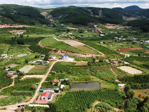 Lâm Đồng: Xem xét thu hồi dự án không triển khai, chậm tiến độ