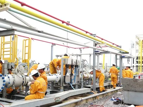 Giá gas hôm nay 11/9/2023: Cập nhật giá gas trong nước và thế giới