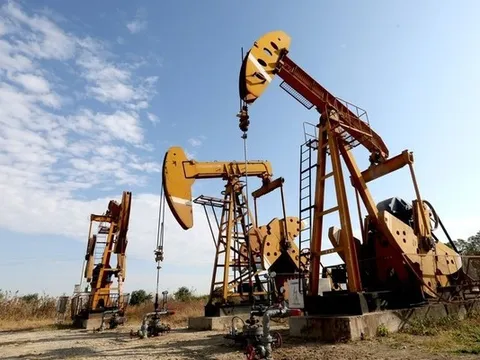 Giá xăng dầu hôm nay 12/9/2023: Cập nhật giá xăng dầu trong nước, quốc tế