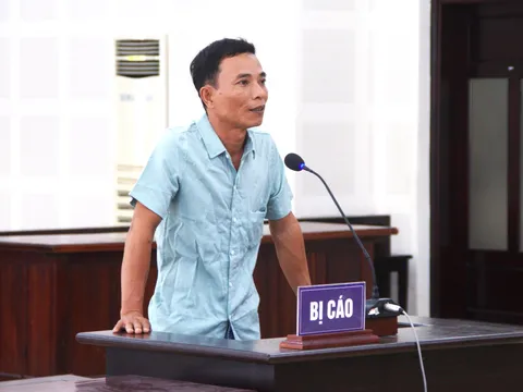 Khai thác đất “lậu”, người đàn ông ở Đà Nẵng lĩnh 18 tháng tù
