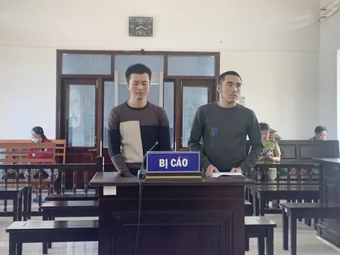 Kon Tum: Vi phạm quy định về khai thác, bảo vệ rừng, 2 đối tượng lĩnh án 36 tháng tù