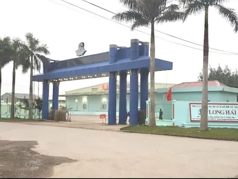 Thanh Hóa: Công ty CP Thương mại vận tải và Chế biến hải sản Long Hải bị phạt 450 triệu đồng