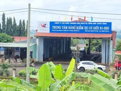 Gia Lai: Khởi tố, bắt tạm giam các bị can về tội nhận hối lộ và môi giới nhận hối lộ