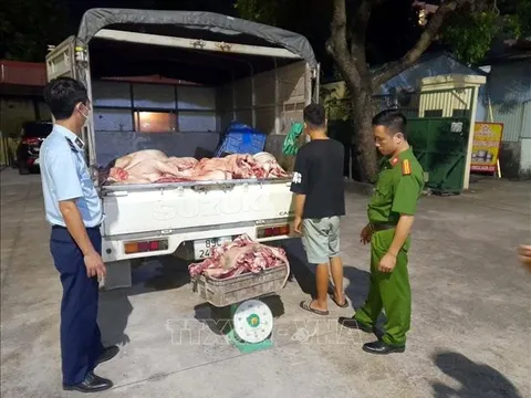 Hưng Yên: Phát hiện hơn 1,3 tấn thịt lợn không đảm bảo an toàn thực phẩm