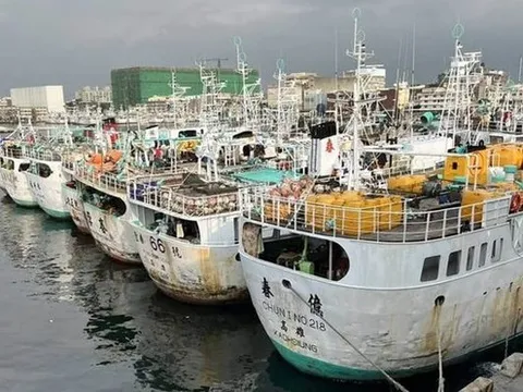 Trung Quốc đóng cửa trường học, huỷ nhiều chuyến bay do bão Koinu