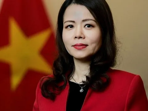 Chân dung tân nữ Thứ trưởng Bộ Ngoại giao Nguyễn Minh Hằng