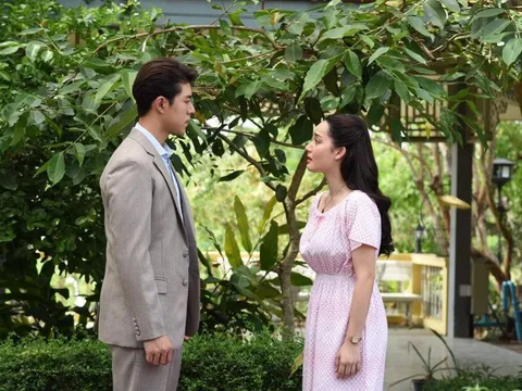Vì một quả bưởi trong vườn, tôi quyết định bỏ người chồng đầu ấp tay gối suốt 8 năm