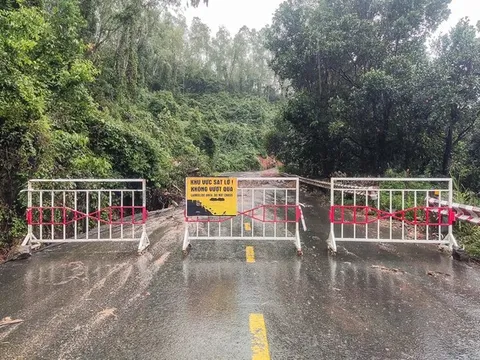 Đà Nẵng cấm lưu thông các đường lên bán đảo Sơn Trà do sạt lở