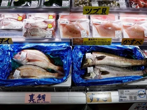 Nga cấm nhập khẩu hải sản từ Nhật Bản