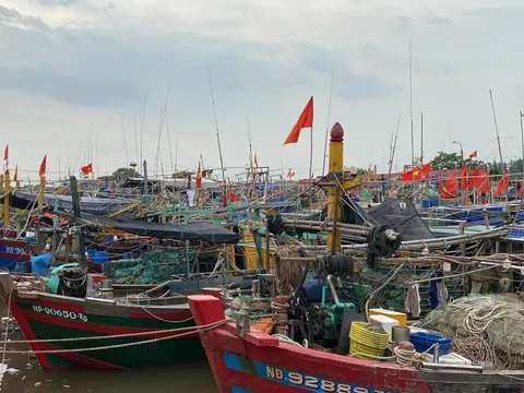 Quảng Ninh cấm biển từ 15 giờ chiều ngày 19/10 để ứng phó bão số 5