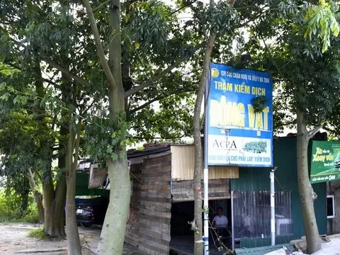 Hà Tĩnh: Bắt tạm giam 2 nhân viên trạm kiểm dịch cưỡng đoạt 30 triệu đồng