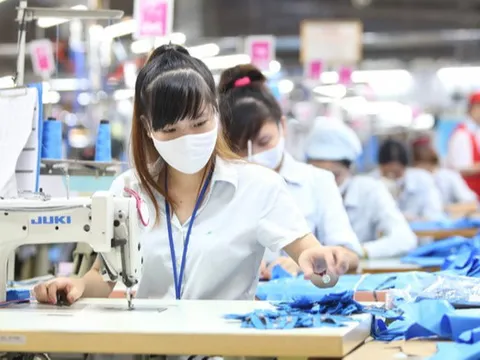 Đề xuất phương án giải quyết chế độ BHXH cho NLĐ tại đơn vị giải thể, phá sản