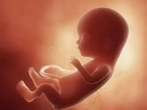 Sử dụng nước ô nhiễm có nguy cơ gây dị tật ở thai nhi