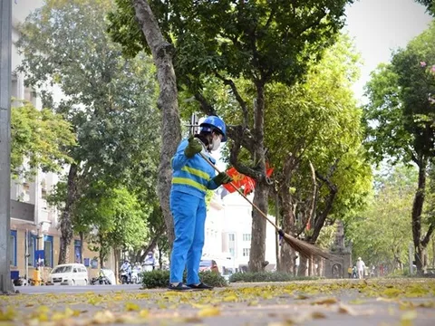 Dự báo thời tiết hôm nay 11/11: Từ đêm mai, Bắc Bộ chuyển rét