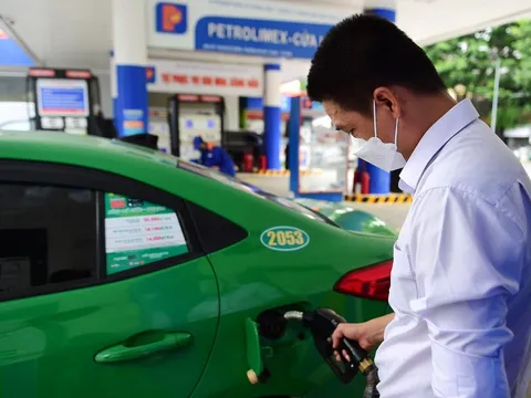 Hóa đơn xăng dầu có bắt buộc ghi biển số xe không?