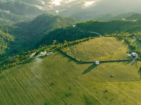 Khám phá thảo nguyên 'trên mây' ở Quảng Ngãi: 'View triệu đô' chẳng kém Tà Xùa