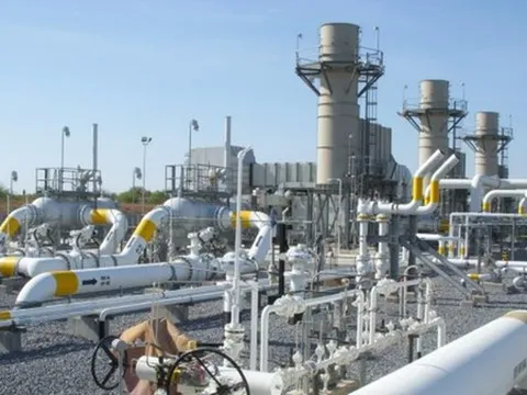Giá gas hôm nay 11/12/2023: Cập nhật giá gas trong nước và thế giới