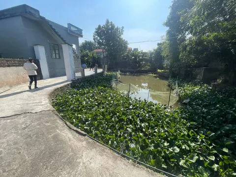 Thái Bình: Đối tượng chém cô dâu trong ngày cưới có dấu hiệu trầm cảm, thần kinh không ổn định