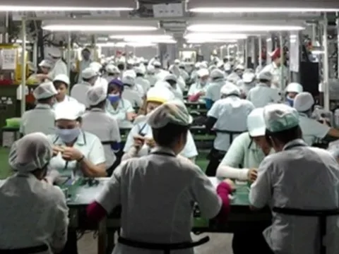Một doanh nghiệp cho nhân viên nghỉ Tết tới 45 ngày
