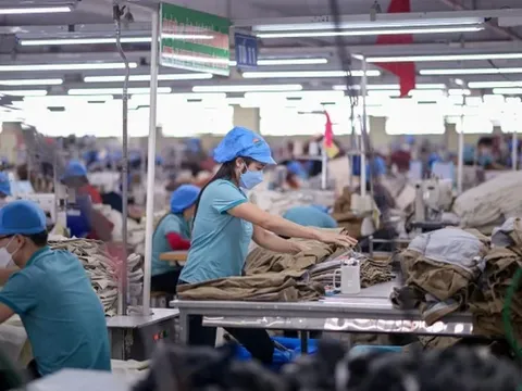 TP.HCM thưởng Tết Dương 2024 cao nhất 1,6 tỷ đồng, thưởng Tết Nguyên đán còn 'khủng' hơn
