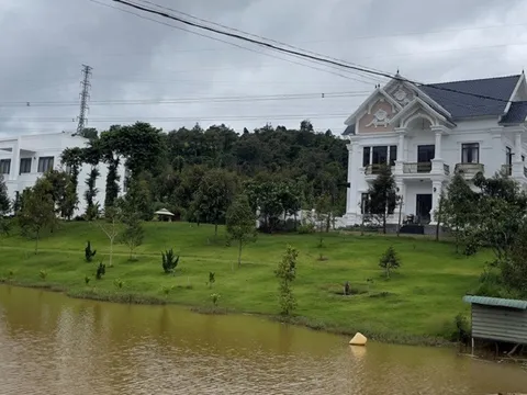 Đắk Nông: Đình chỉ công tác Phó phòng Kinh tế Hạ tầng huyện Đắk R’lấp