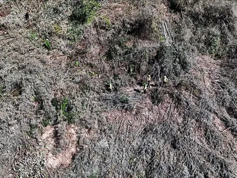 Phát hiện vụ phá rừng phòng hộ quy mô lớn tại Đắk Nông