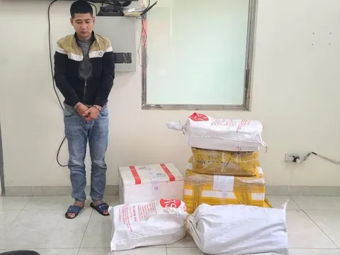 Cảnh tượng bất ngờ bên trong trang trại nuôi cá ở ngoại thành Hà Nội