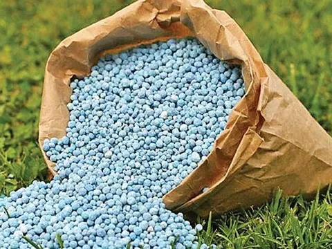 Đề xuất áp thuế giá trị gia tăng 5% với mặt hàng phân bón