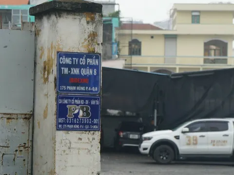 Bài học về tranh chấp cổ phần tại Công ty XNK quận 8