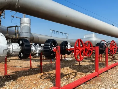 Giá gas hôm nay 11/1/2024: Cập nhật giá gas trong nước và thế giới
