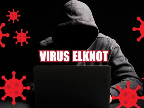 Cảnh báo xuất hiện nhiều biến thể virus Elknot nhắm tới máy chủ Linux Việt Nam