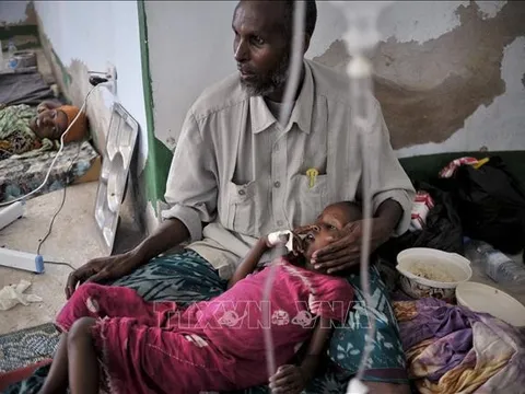 WHO tăng cường hỗ trợ Somalia ứng phó với bệnh tả ​